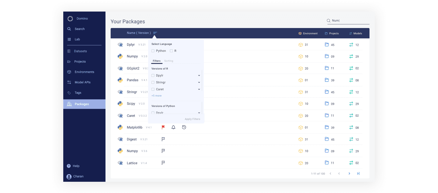 The Domino Packages view, listing Python and R packages with version, environment and project counts