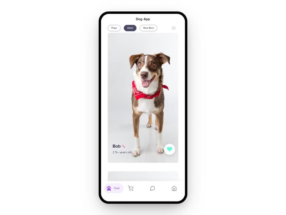 The Petfinder app: swiping through adoptable dogs, filtering by breed and temperament, and shopping dog essentials in the in-app store